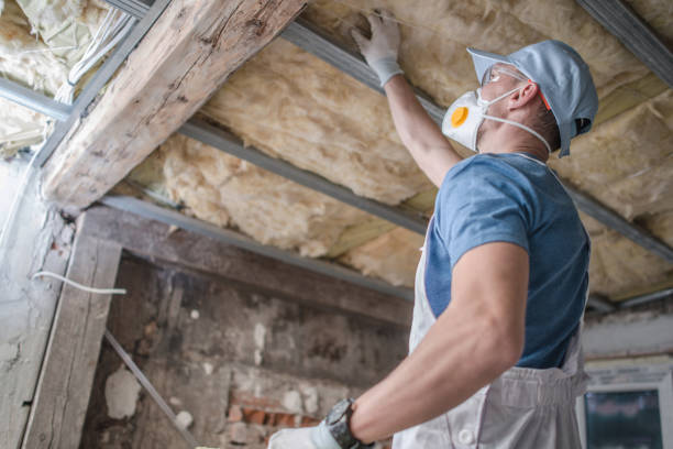 Best Spray Foam Insulation  in Bridgeport, NE