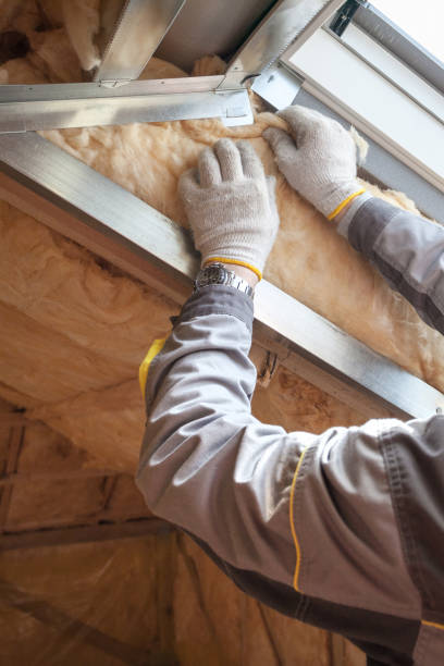 Insulation Inspection Services in Bridgeport, NE