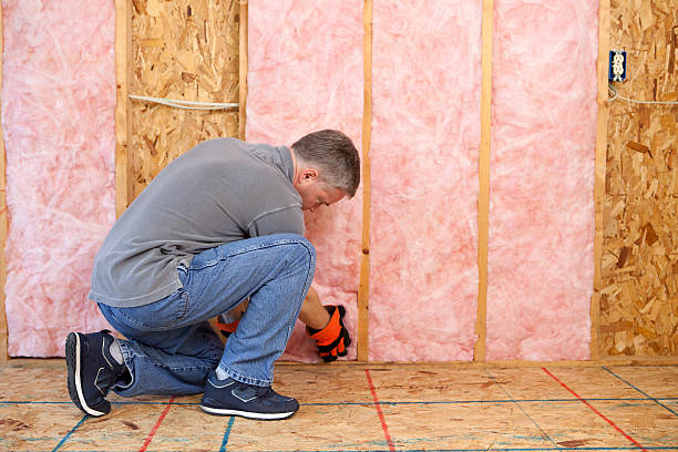 Best Fiberglass Insulation  in Bridgeport, NE